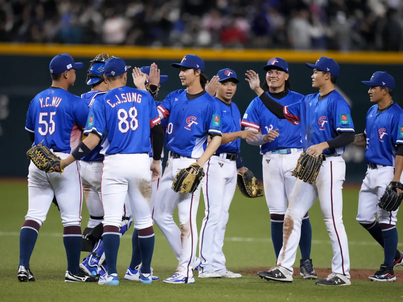 2026 WBC 經典賽「購票資訊」懶人包一覽！海外抽選、預購、一般售票怎麼買這邊看！