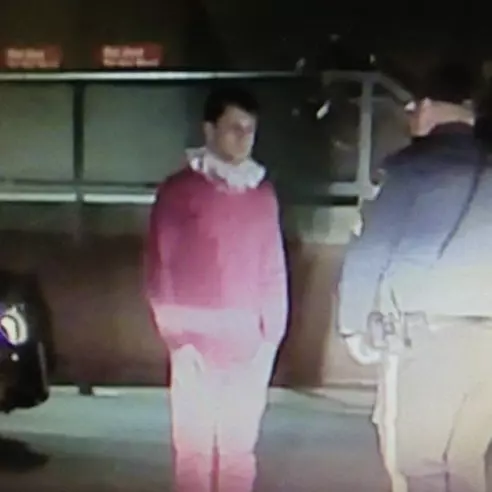 一醉變身小精靈？男子以怪裝扮昏睡車內      警方也看傻了眼