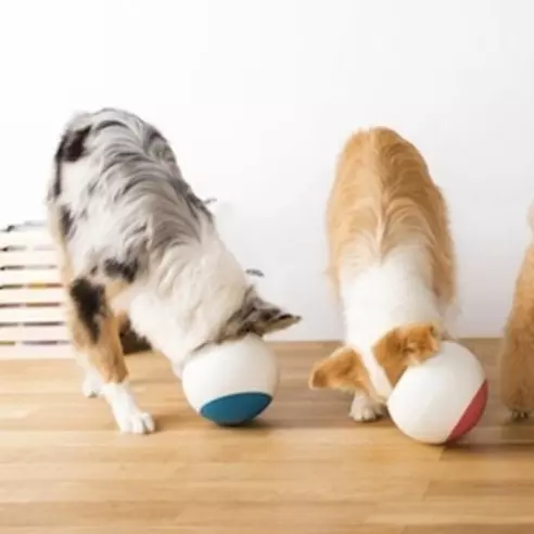 Oppo Food Ball 讓毛小孩慢慢食的不倒碗!
