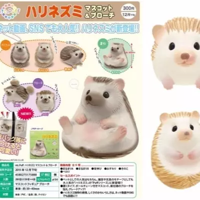 日本推出刺蝟扭蛋　每天看牠露出肚皮超療癒！