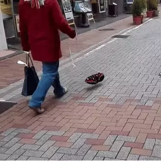 日本街頭出現遛「隱形狗狗」的神秘男人　背後究竟是什麼秘密？