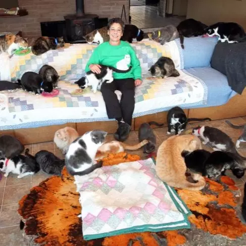 真貓奴！在家中飼養超過 1000 隻貓咪的女人成為網路紅人！