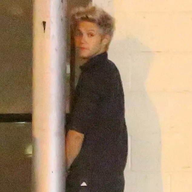 「一世代」Niall 出夜店後　在路邊直接小便被抓包！
