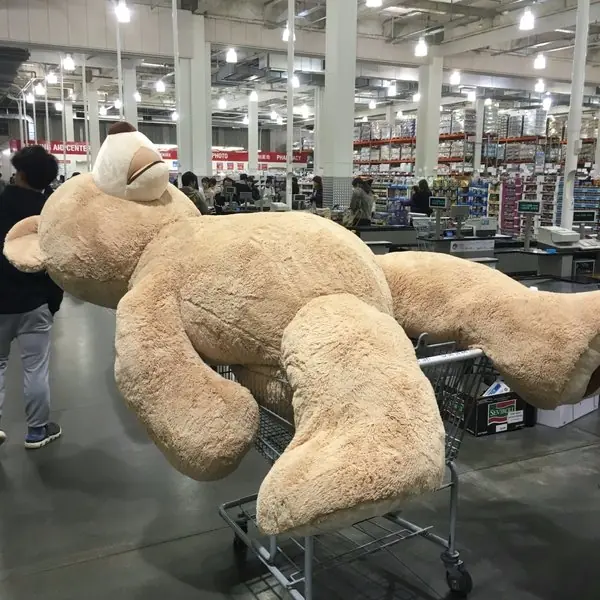 開車如何順利載回 Costco 巨熊？他想到這個超爆笑的妙招！