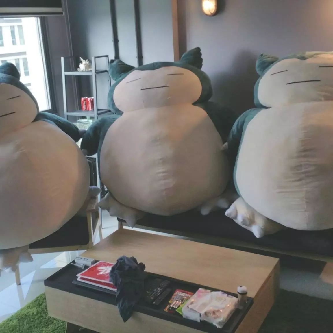 新加坡網友買了三隻卡比獸當生日禮物驚喜　老婆氣到快離家出走！