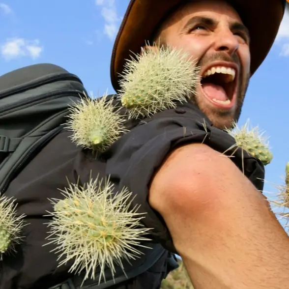 最強被虐狂！野外探險主持人 Coyote Peterson 被仙人掌襲擊　要怎麼拔下來呢？