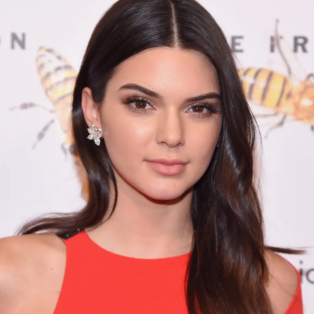 Kendall Jenner Instagram 被關閉，表示「我累了！」