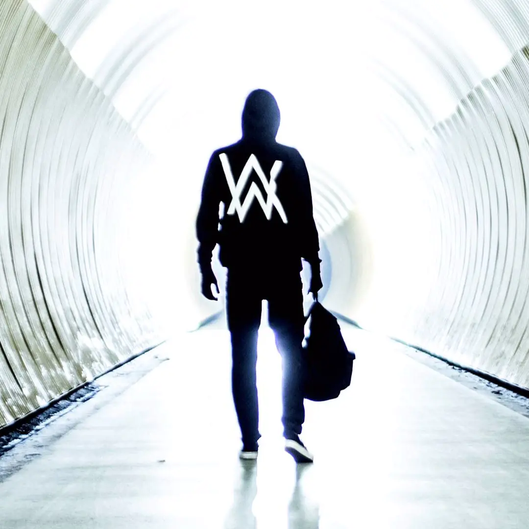 電音巨獻 必聽 ALAN WALKER 的十個理由