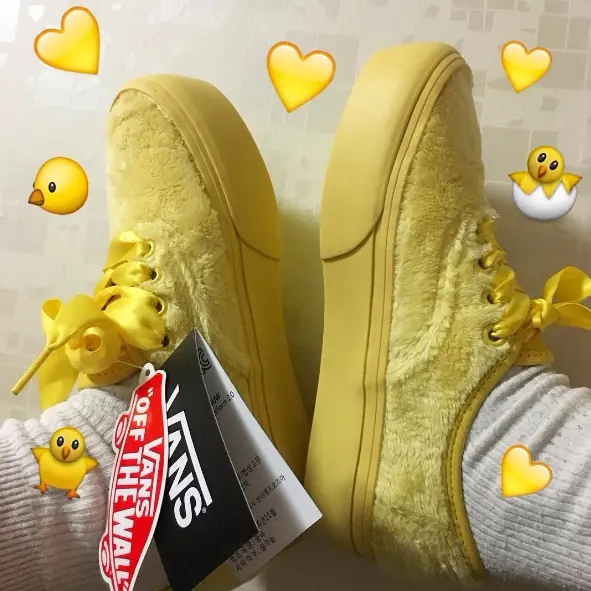 Vans 2017 新作曝光！「 4 個經典鞋款」竟以「雞年」為主題？