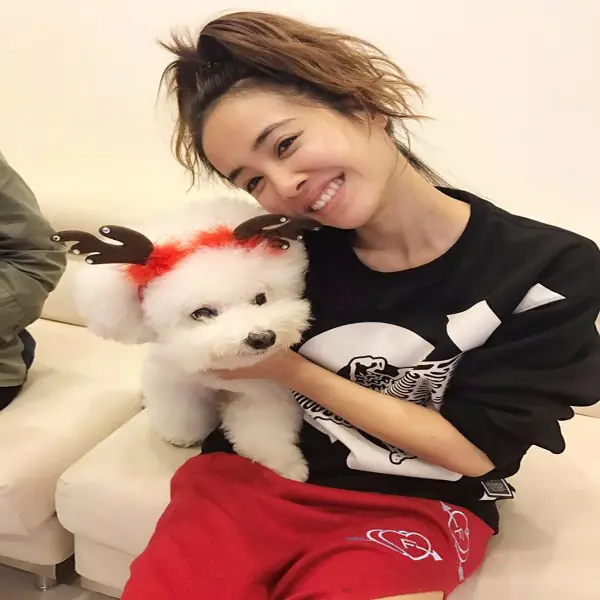 Jolin性感開衩裙美翻！愛狗「屋虎」化身馴鹿相伴過聖誕