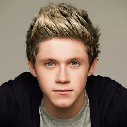 「一世代」Niall 終於換了新髮色　網友卻喊：明明金髮更好看！