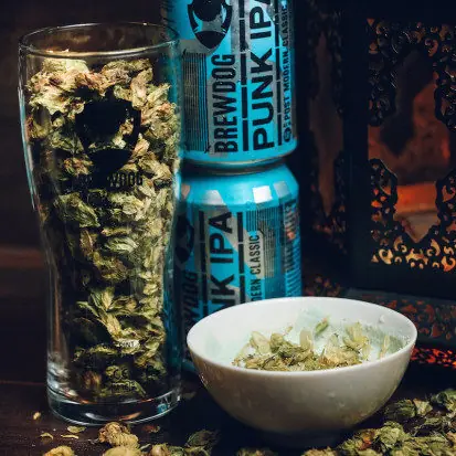 啤酒控必看　愛啤酒的你必住的這一間旅店！