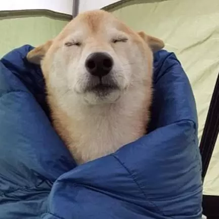 你累了嗎 ? 　汪星人秒睡萌樣照精選！