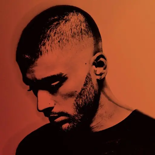 Zayn 以一首歌警醒初成年的你—「你們還有時間，別搞砸了」