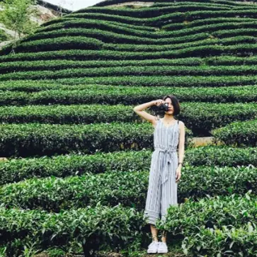 回甘就像現泡！特搜《全台4個療癒茶園》，群山環繞超幽靜～原來御茶園廣告拍攝地在這裡！