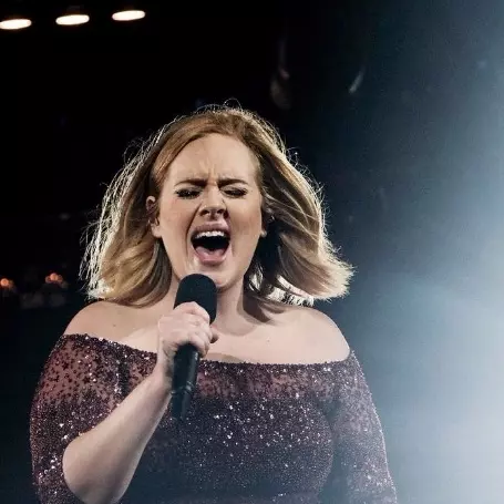 不圓滿的句號－Adele 聲帶受損，公開信宣告取消最後 2 場巡迴演唱會⋯⋯