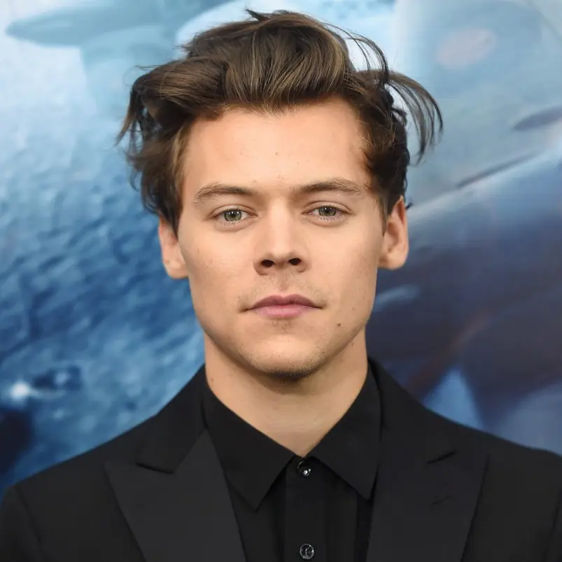 Harry Styles終於承認了！“我有四個奶頭…..”