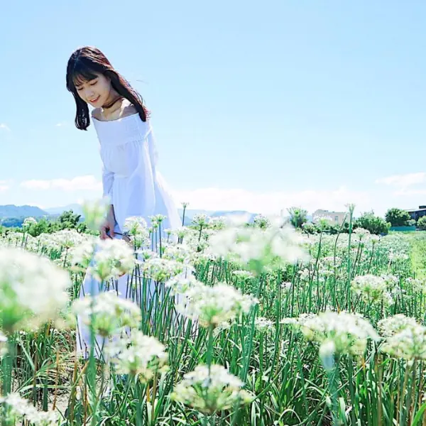 〔打卡揪〕類偶像劇片頭景點大公開！【盤點IG秋季療癒秘境】，男友：這下又要拍到手軟了