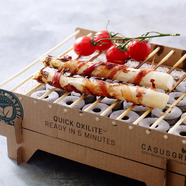 〔過中秋〕地表最強烤肉神器！生火不用五分鐘「CASUSGRILL丹麥環保烤肉架」終於來台，讓你中秋潮到出水