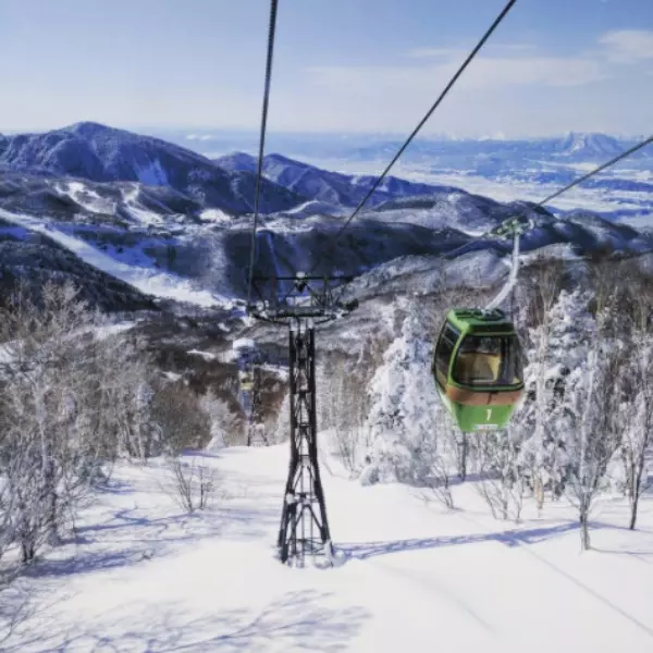 制霸日本滑雪場．菜鳥輕鬆上手！日本絕美雪景即將攻佔IG，去過的網友一次就上癮！