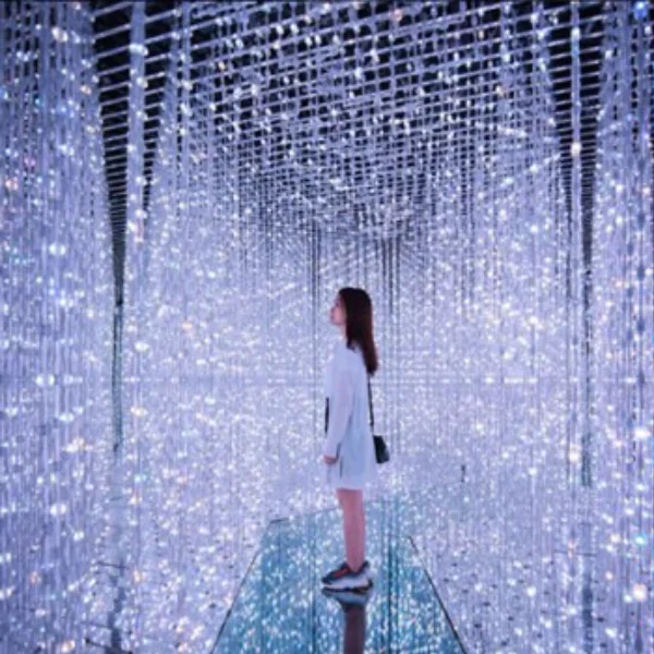 「teamLab：舞動藝術展&未來遊樂園」將於澳門展出，更新增聖誕節特別主題！