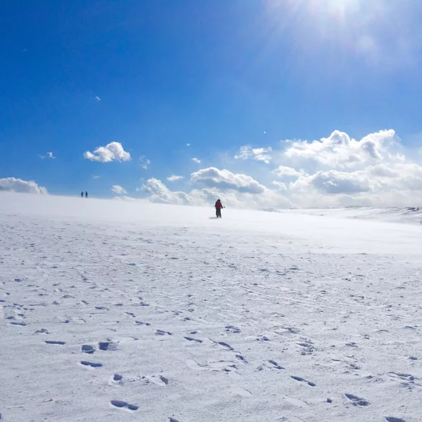 超夢幻！你看過一片全白的「鳥取沙丘」嗎？雪白世界拍照起來宛如電影場景！