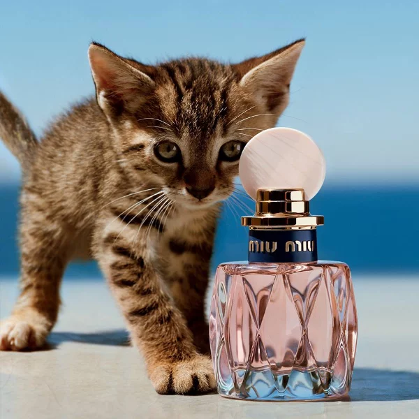 再添新成員！MIU MIU 2018 春季推出「L'eau Rosée 粉色嬉遊淡香水」淘氣上市！
