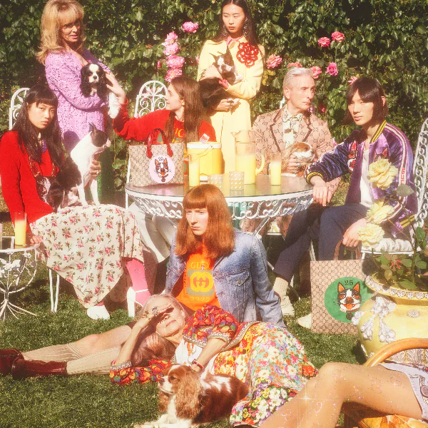 〔完售oops〕最「寵」限定！Gucci 創意總監 Alessandro Michele  為他的兩隻波斯頓愛犬 推出系列商品
