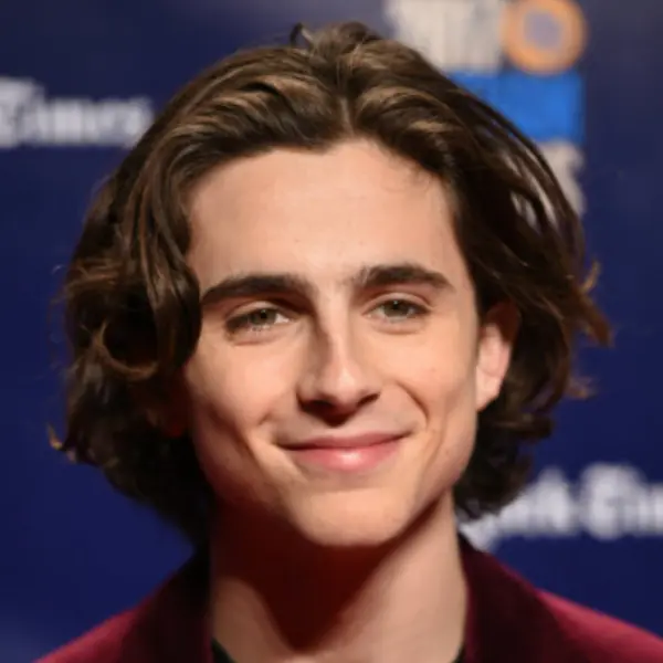 髮型很重要！捲髮美男 Timothée Chalamet 過往迷走造型　網友：氣質完全不同！