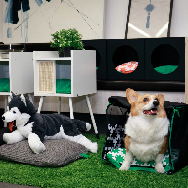 「寵」牠也寵你！ IKEA 推出系列「超實用毛孩用品」，讓牠沒藉口搗蛋啦！