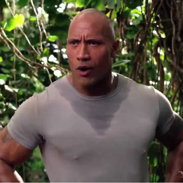 你能分辨巨石強森這兩部電影片名嗎？網友笑：The Rock 都演自己，衣服也都穿得差不多！