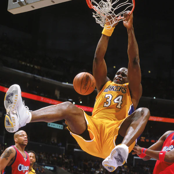 當 Shaq 遇上真正的鯊魚　網友笑：第一次看到俠客歐尼爾對位時這麼虛！