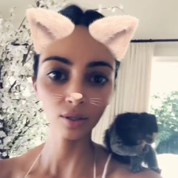卡戴珊姊妹又闖禍！Kim Kardashian 的 IG Stories，為何被動物團體公開譴責？
