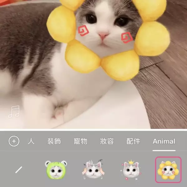 奴才們快下載！這個 app 竟然推出「萌寵 AR 」，輕鬆辨識貓狗輪廓！
