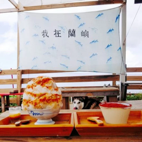 不想開學？就逃到蘭嶼吧！日式剉冰，BBQ吃到飽，飛魚我來啦！