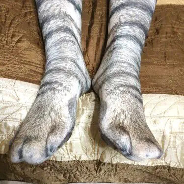 真的有肉球！日本推特瘋傳「動物之足」擬真襪款　網友驚嘆：不仔細看以為是巨大貓掌⋯