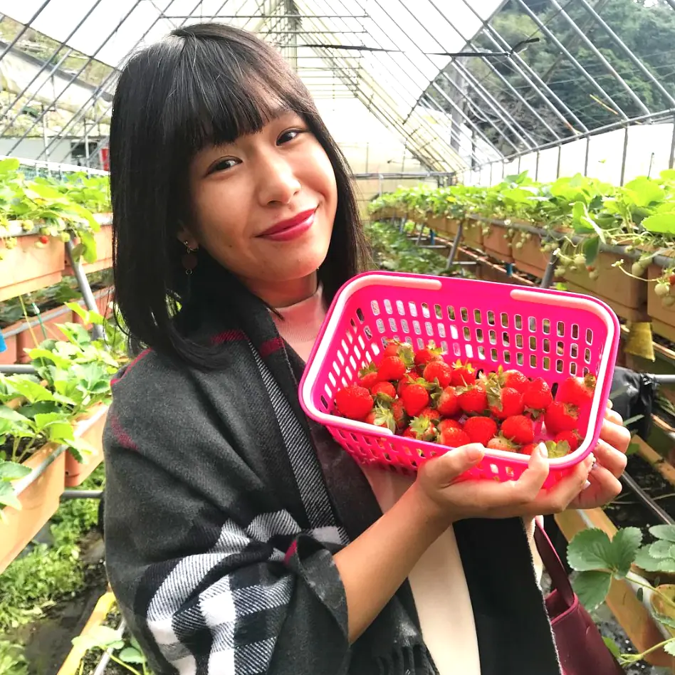 新年春遊「草莓小旅行」紅翻天！從產地到餐桌大喫草莓風味餐