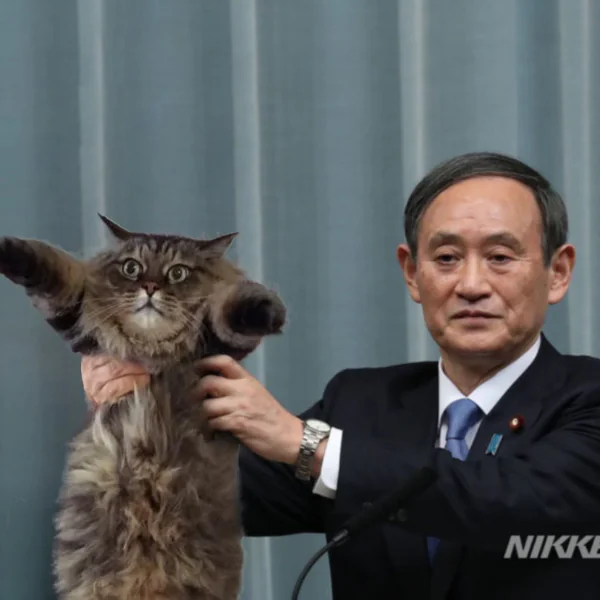 平成時代再見了！日本新年號「令和」讓網友瘋狂惡搞　連爆紅的台灣「珍珠奶茶」都驚現！