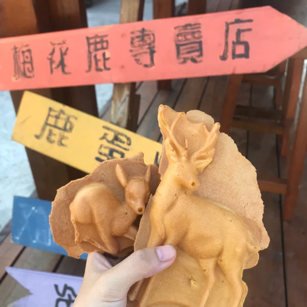 綠島出發！今夏跳島小旅行！潛水，溫泉，日出，美食吃透透！