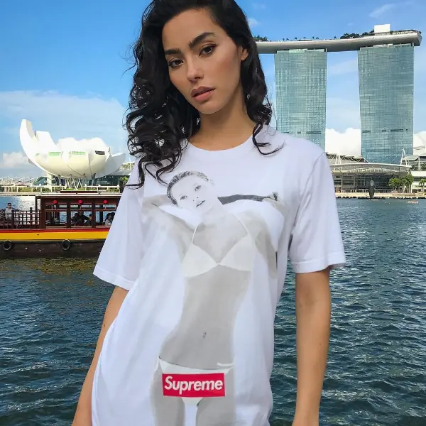 板牌巨頭也愛電影動畫！ 細數歷年 Supreme x 影視界 12 大聯乘
