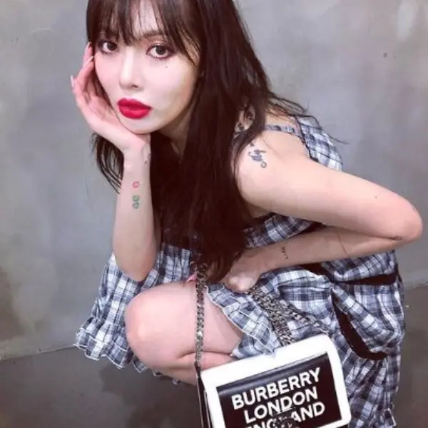 愛馬仕、GUCCI  都看不上眼！揭曉 3 款「泫雅最愛精品包」　想不到都是些這麼低調的好貨！？