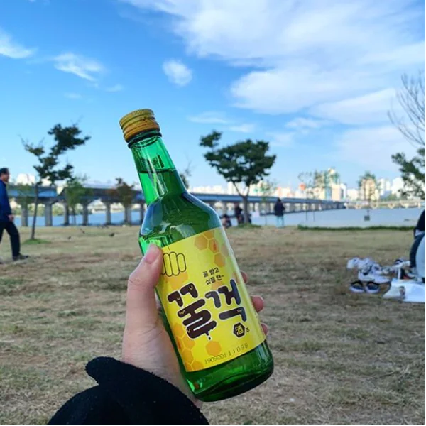 不敢喝燒酒的人也能輕鬆駕馭！超好喝的「蜂蜜燒酒」台灣「這裡」買得到，酒鬼們還不快喝爆！
