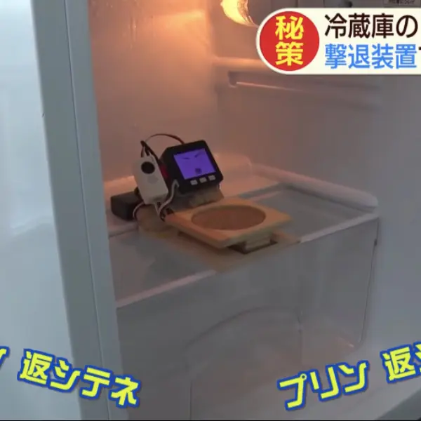 外宿必備！日本發明「布丁防盜裝置」，布丁的安全就讓它來守護！網友：「好可愛～想要」