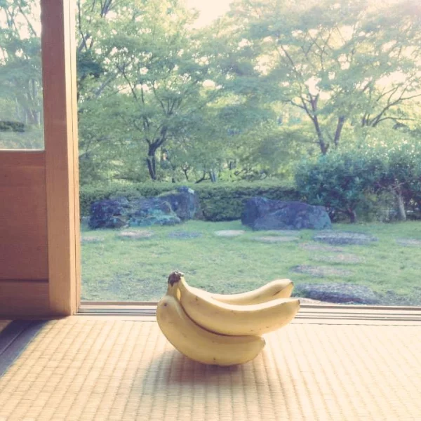 這個絕對超過 12 萬美元！日本網友興趣是「幫香蕉拍藝術照」，成品超有意境被推爆！