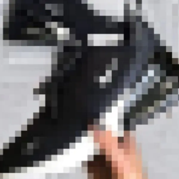 adidas Yeezy、Air Jordan 全都有！2019 美國暢銷球鞋冠軍竟是「這雙平價款」，鞋迷：我的球鞋全上榜！