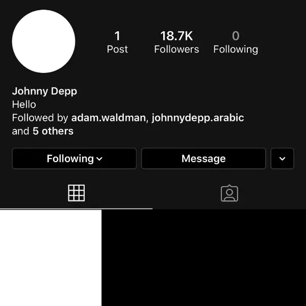 一夜暴漲百萬追蹤！強尼戴普開 Instagram 一張空白照片轟動網友，粉絲笑：像老人學網路！